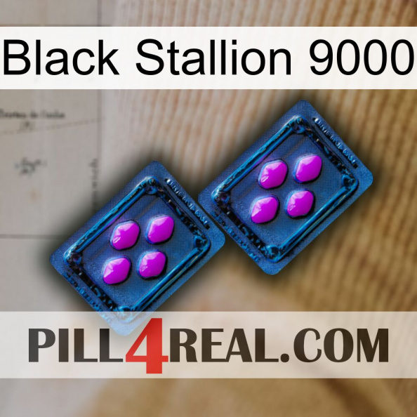 Black Stallion 9000 03